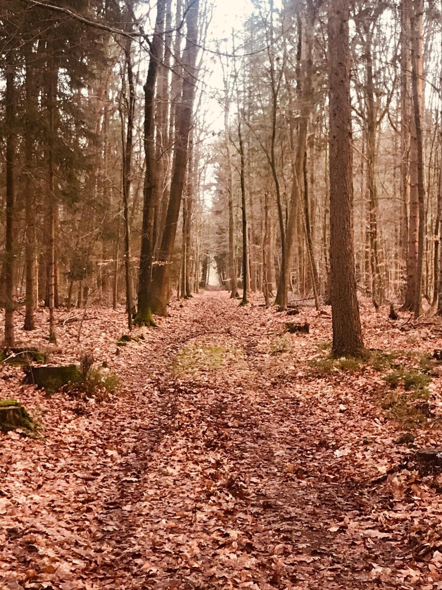 Schoene Auszeit Re14 Sögel Dış mekan fotoğraf