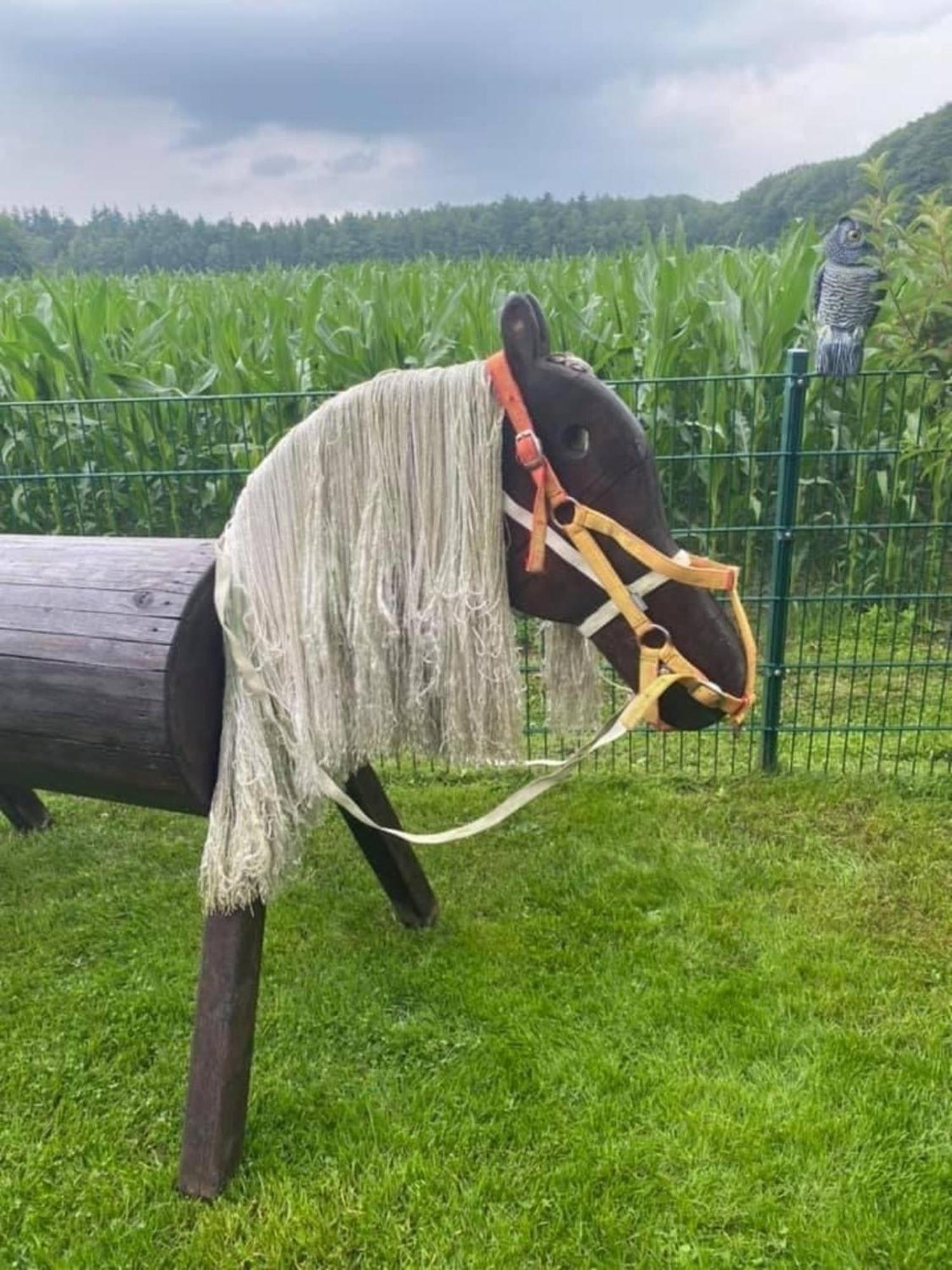 Schoene Auszeit Re14 Sögel Dış mekan fotoğraf